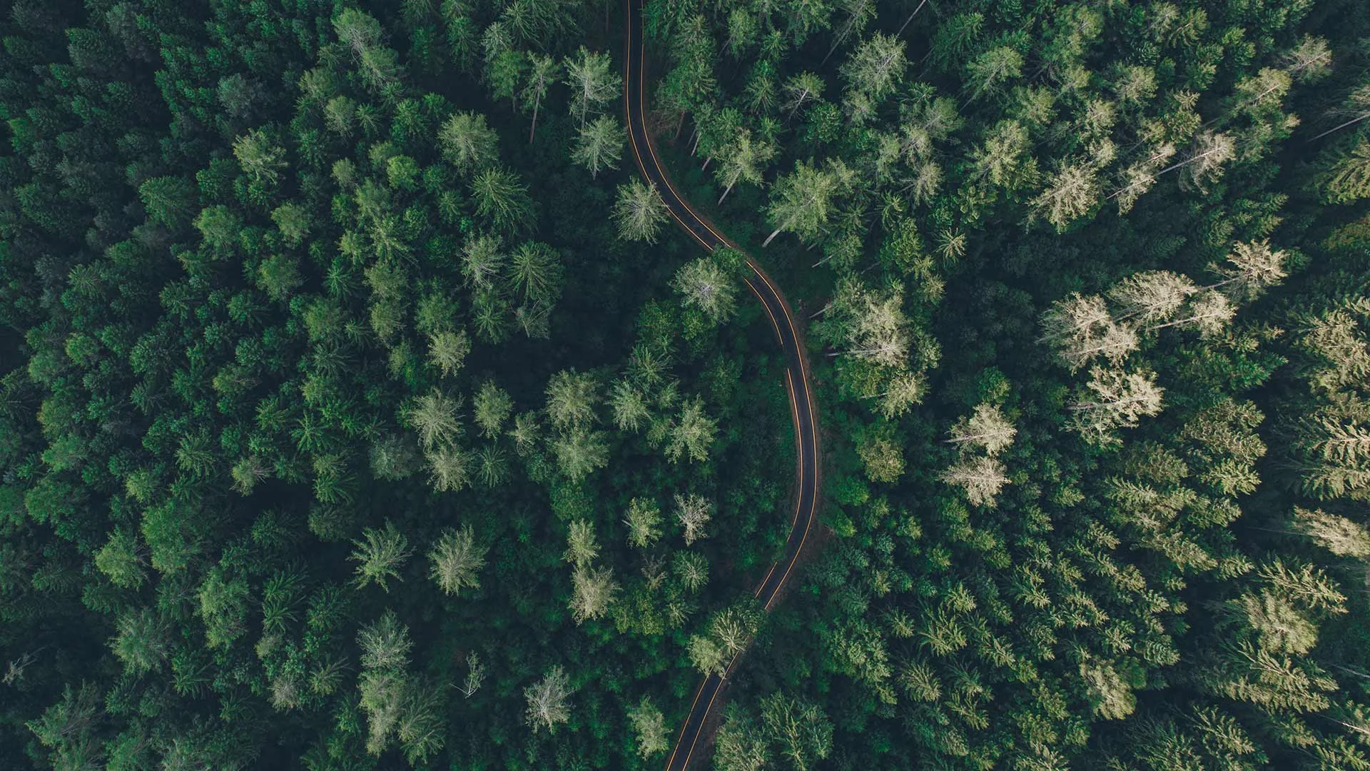 Schweizer Landschaft